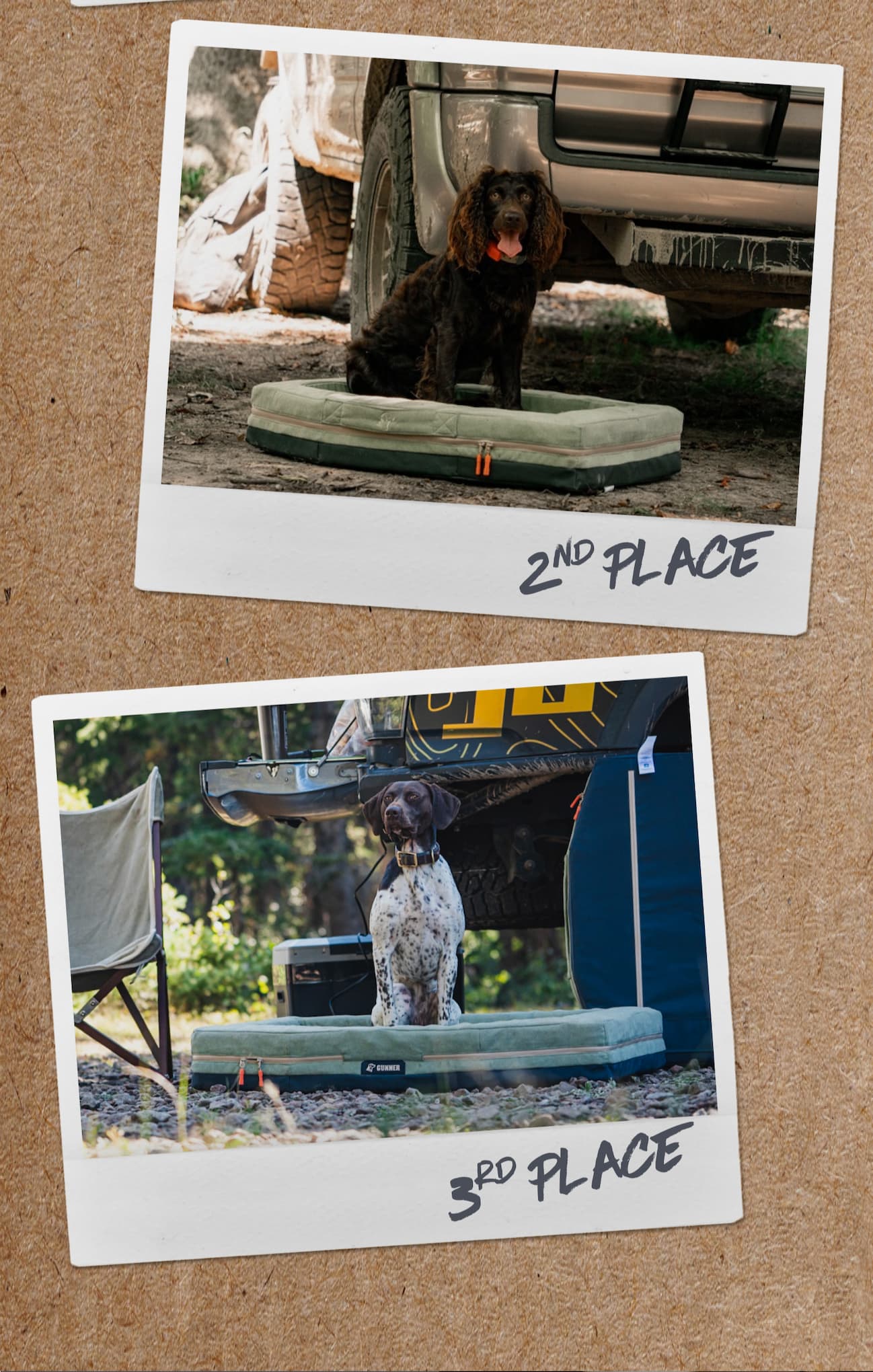 Shop the Homestead Bed