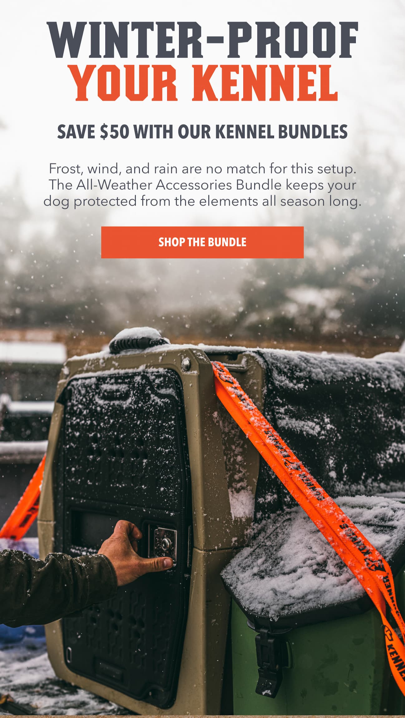 Winter-Proof Your Kennel