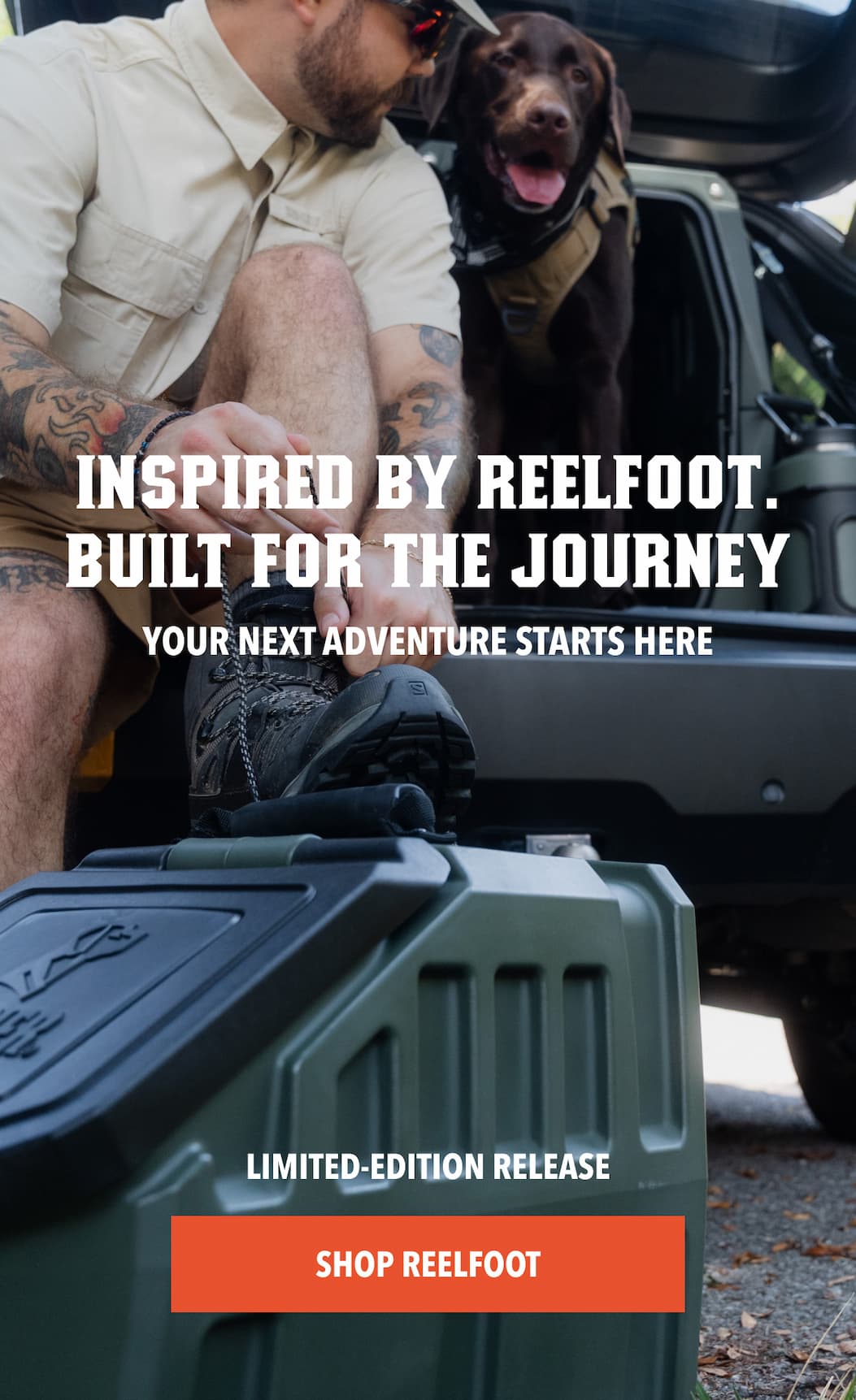 Discover the full collection