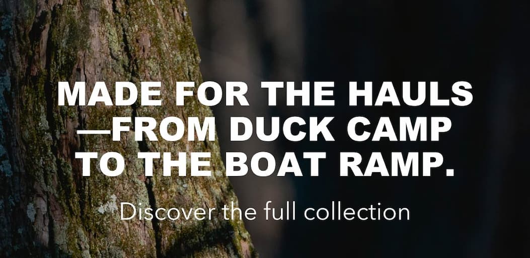 Discover the full collection