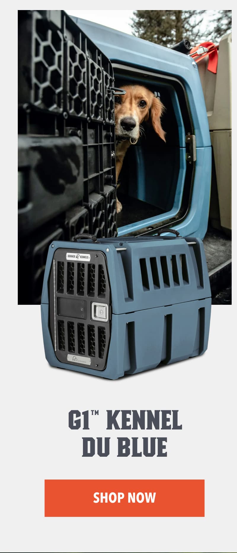 G1™ KENNEL Du Blue