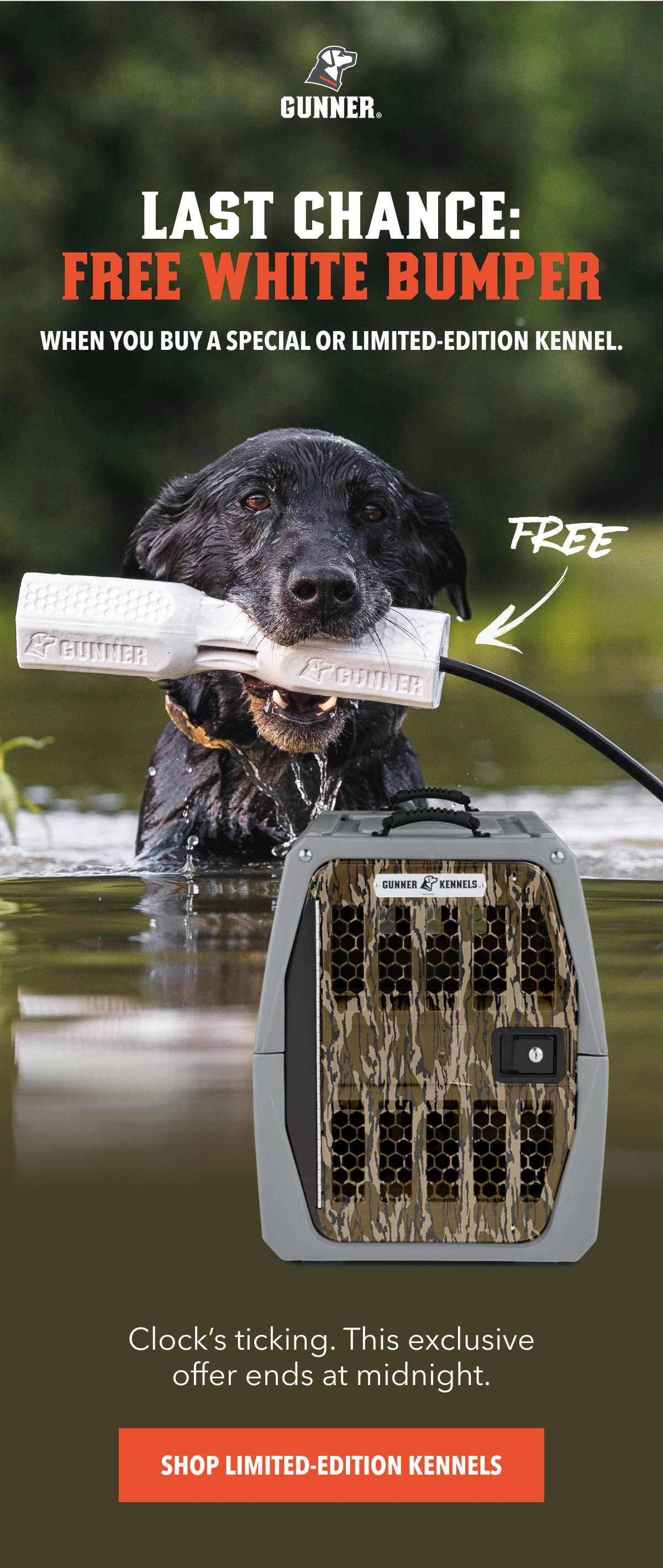 LAST CHANCE: FREE WHITE BUMPER LAST CHANCE: FREE WHITE BUMPER