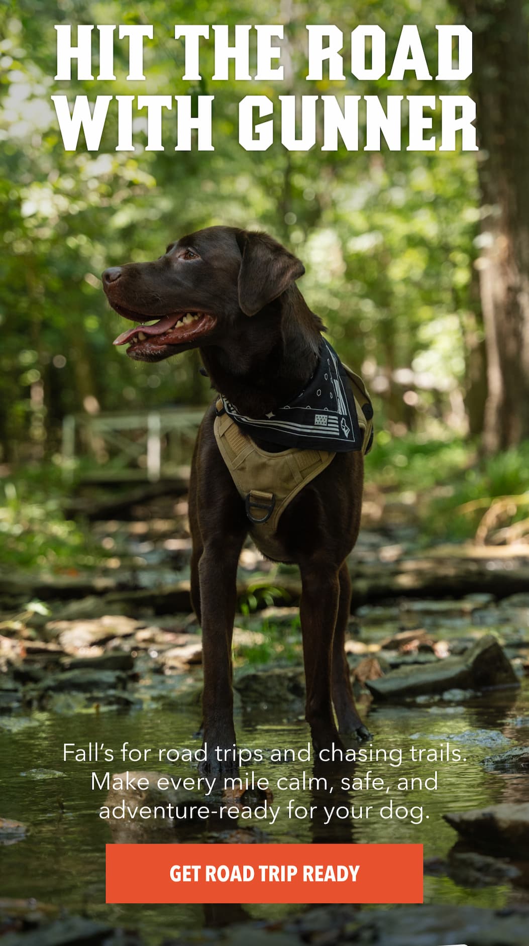 Discover the full collection