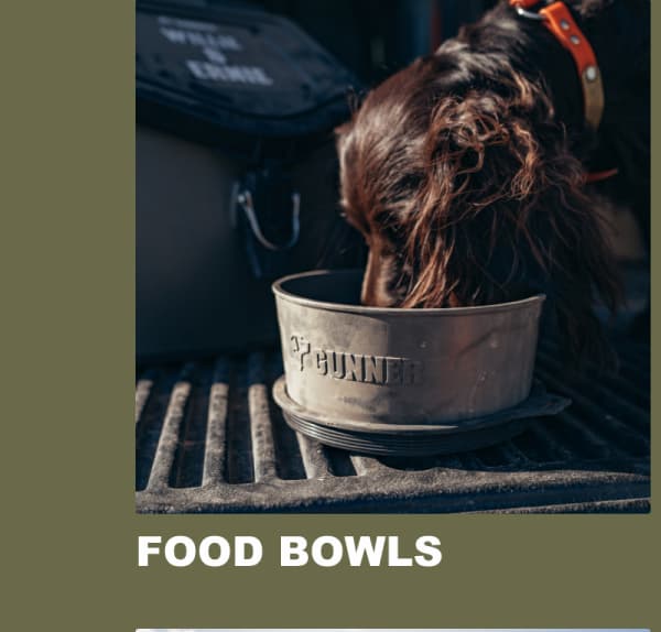 Food Bowls