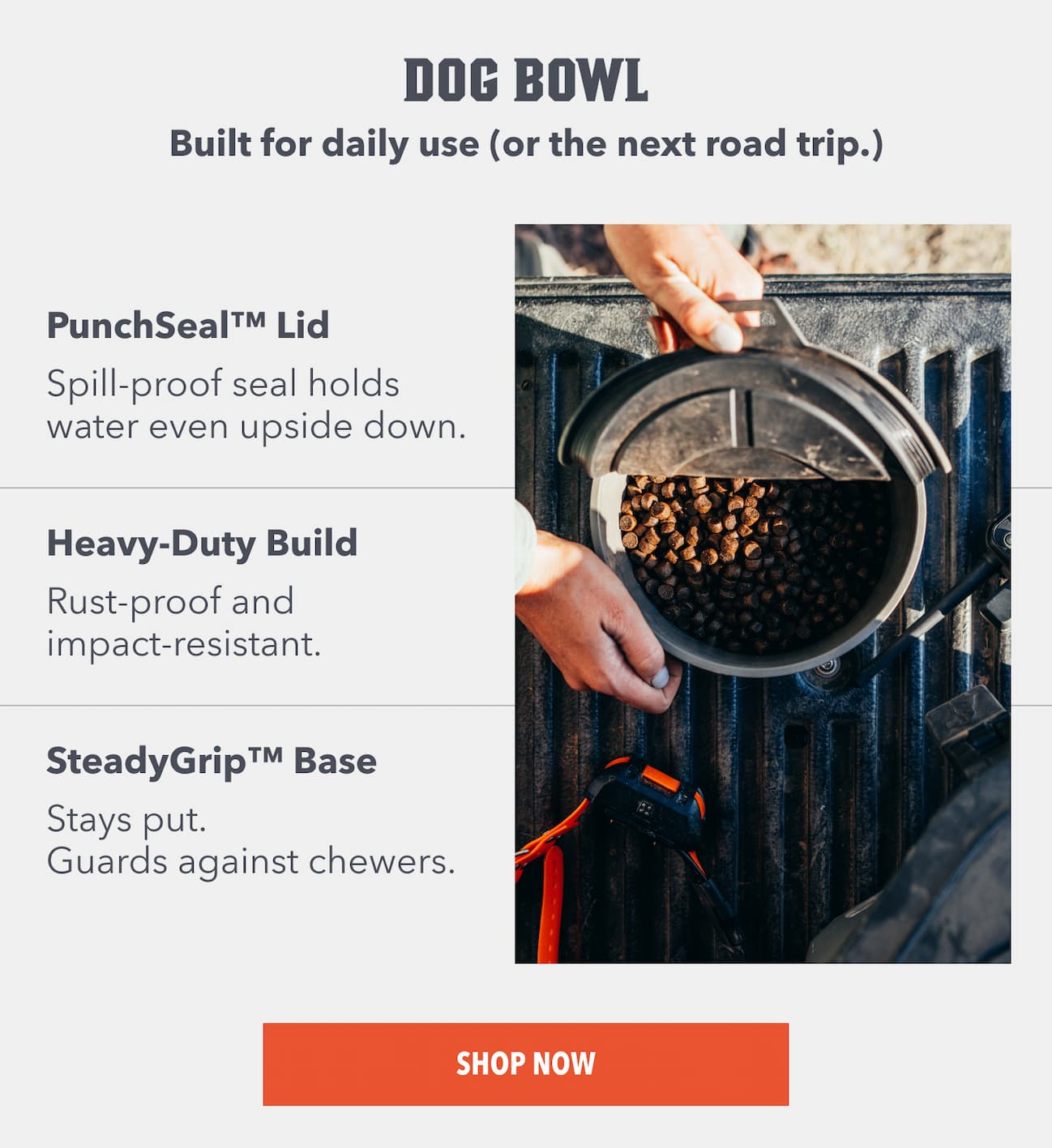 Dog Bowl