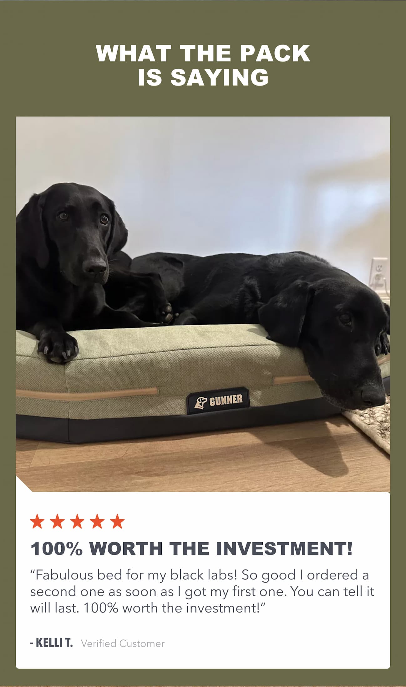 What the Pack is saying