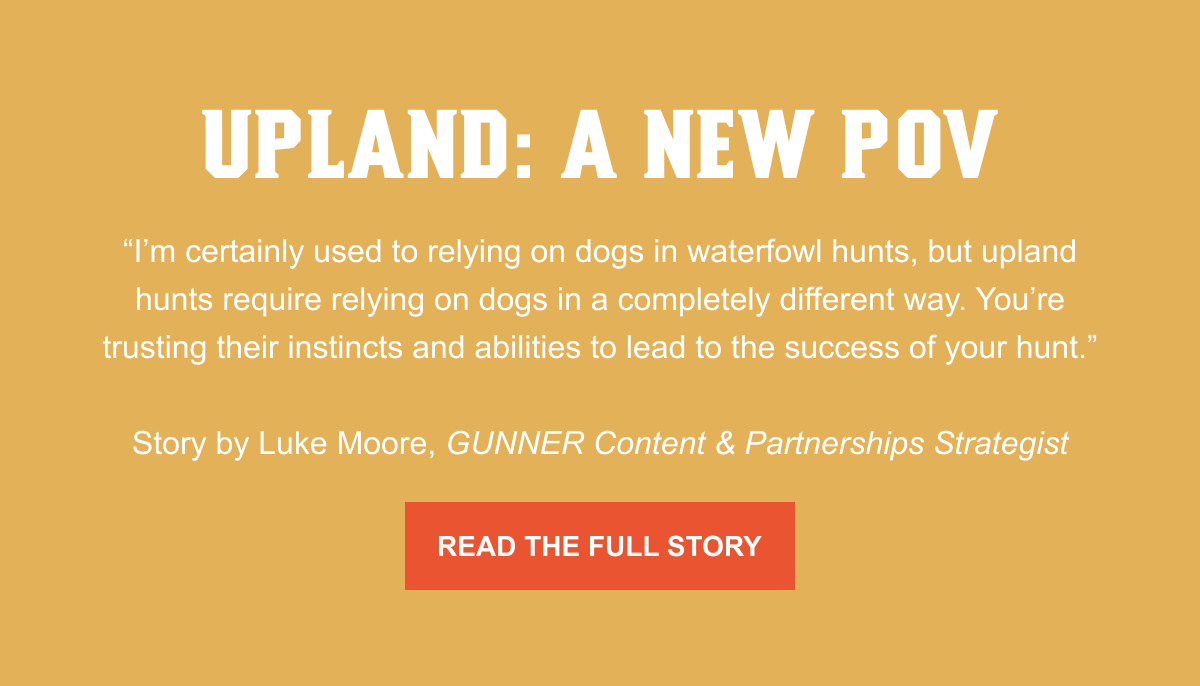 Read the Blog