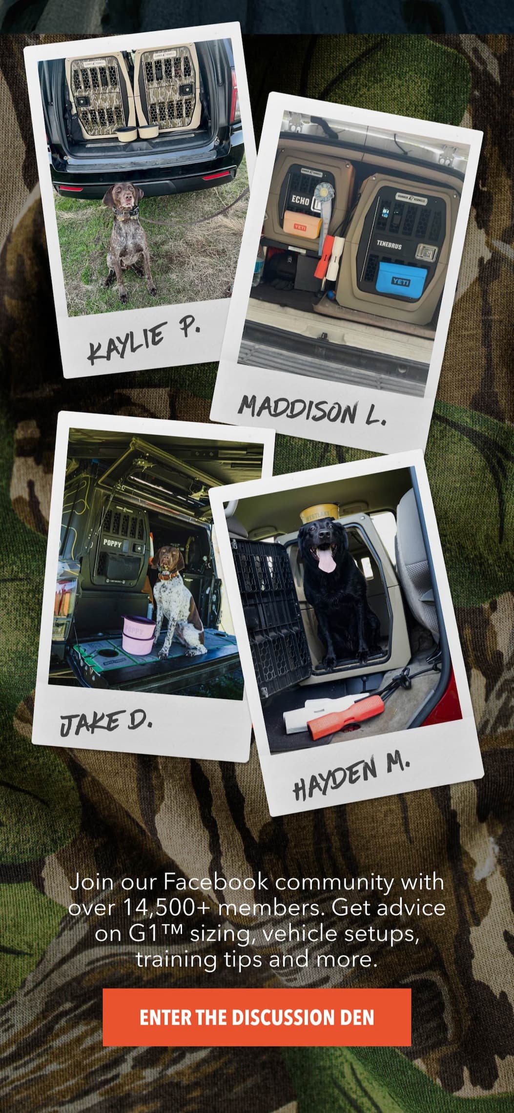 Enter the Discussion Den