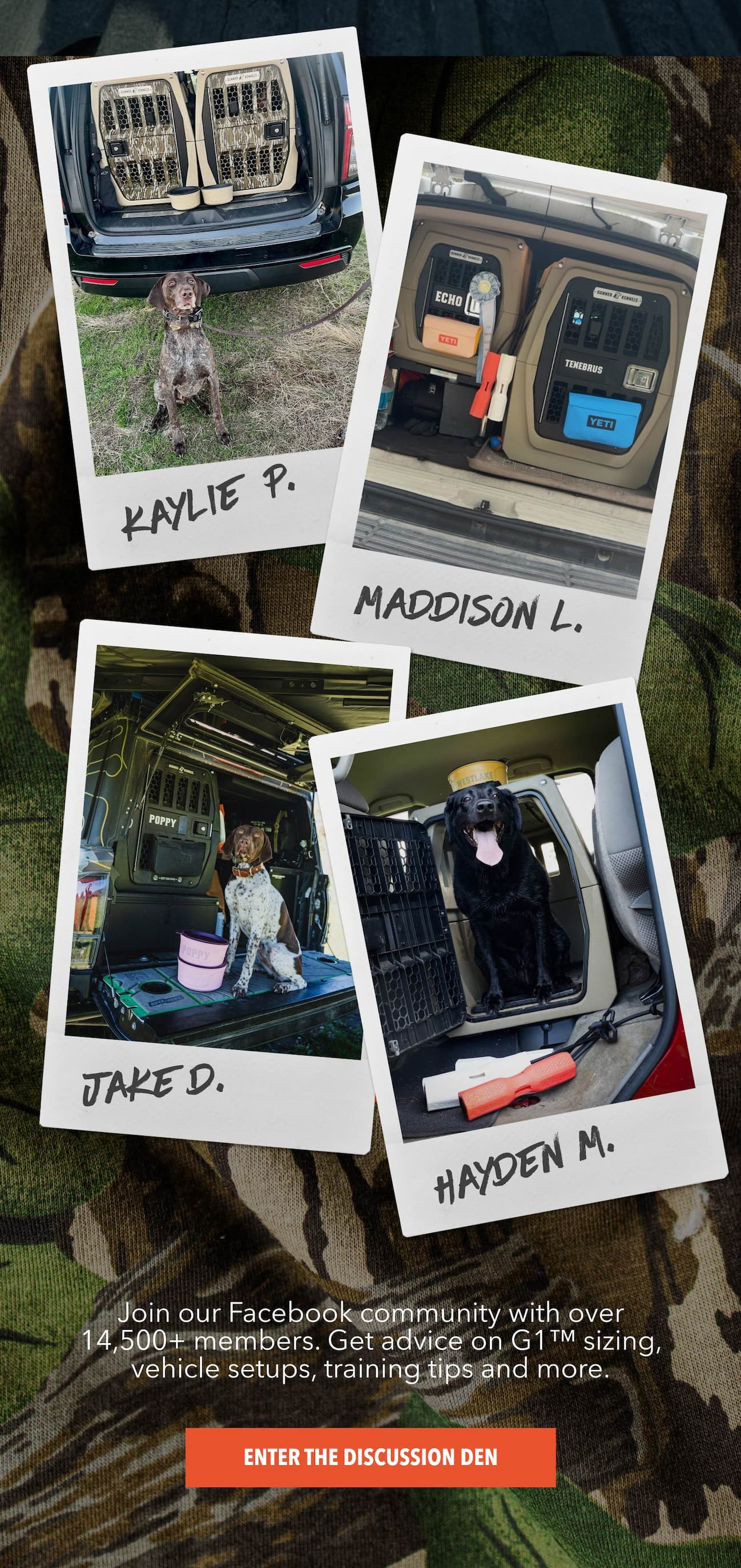 Enter the Discussion Den