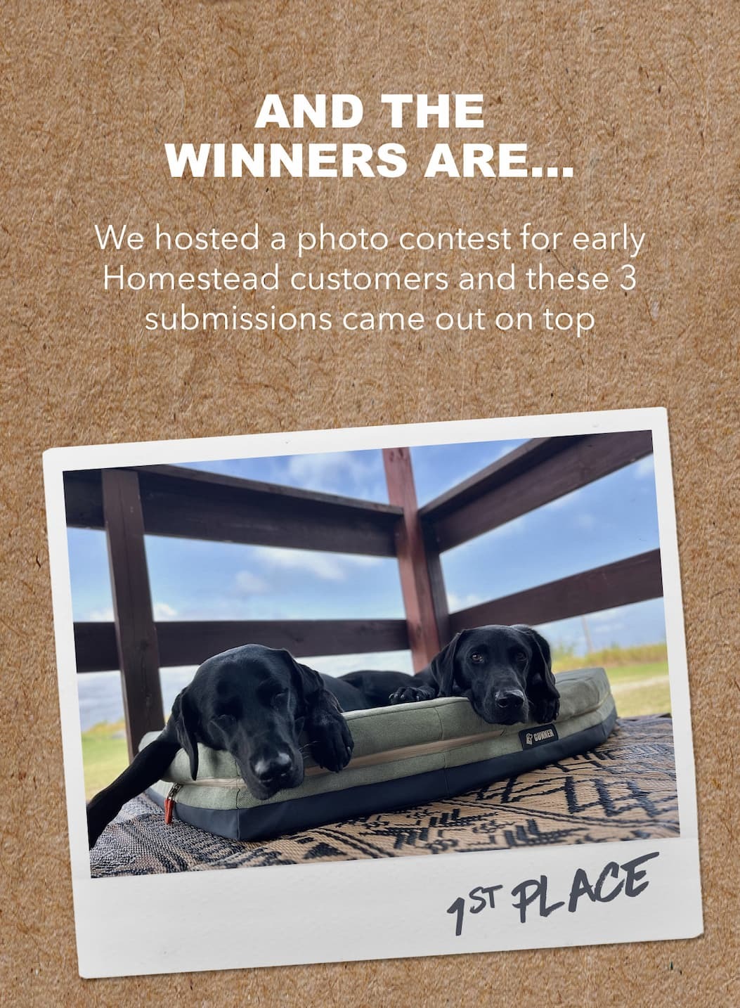 Shop the Homestead Bed