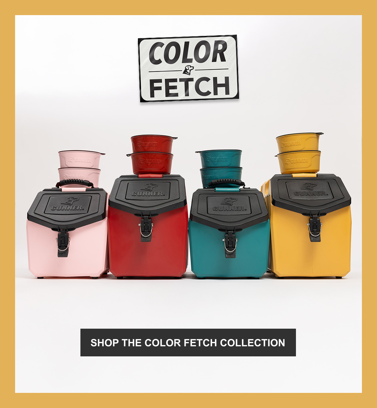 LIMITED-EDITION COLLECTION - COLOR FETCH IS HERE