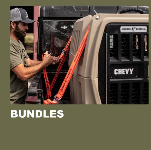 Bundles