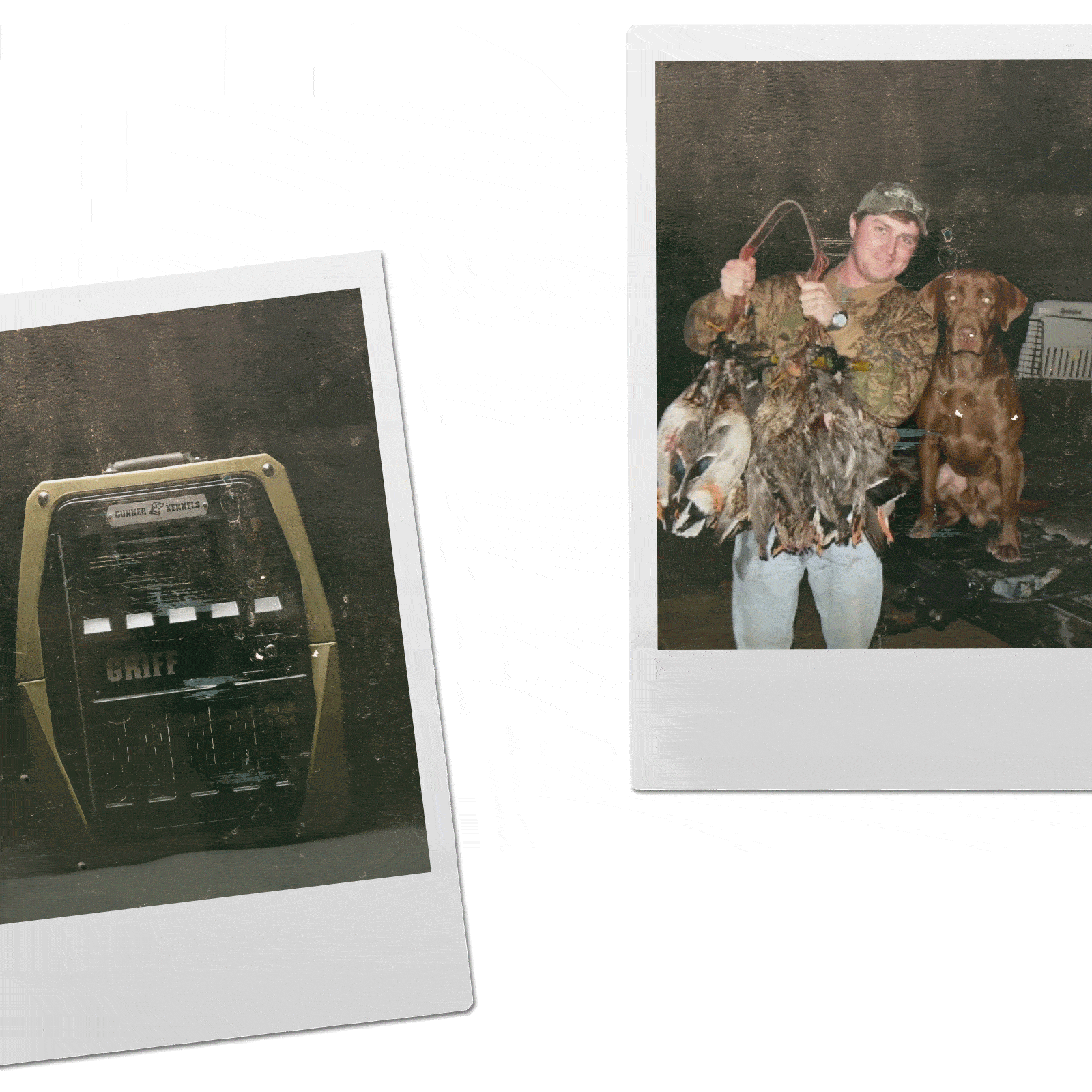 Ten years of #MansBestKennel