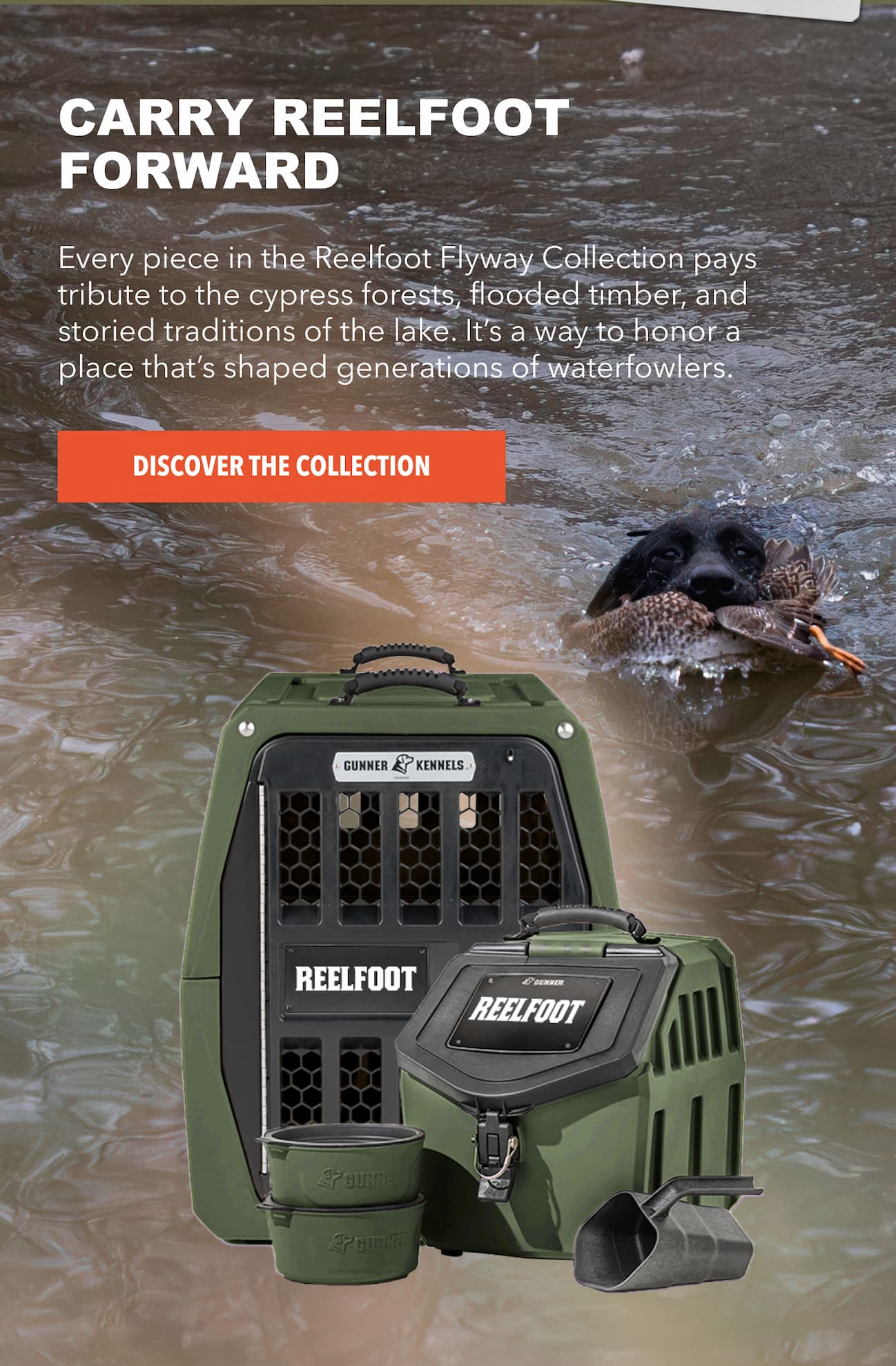 Carry Reelfoot forward