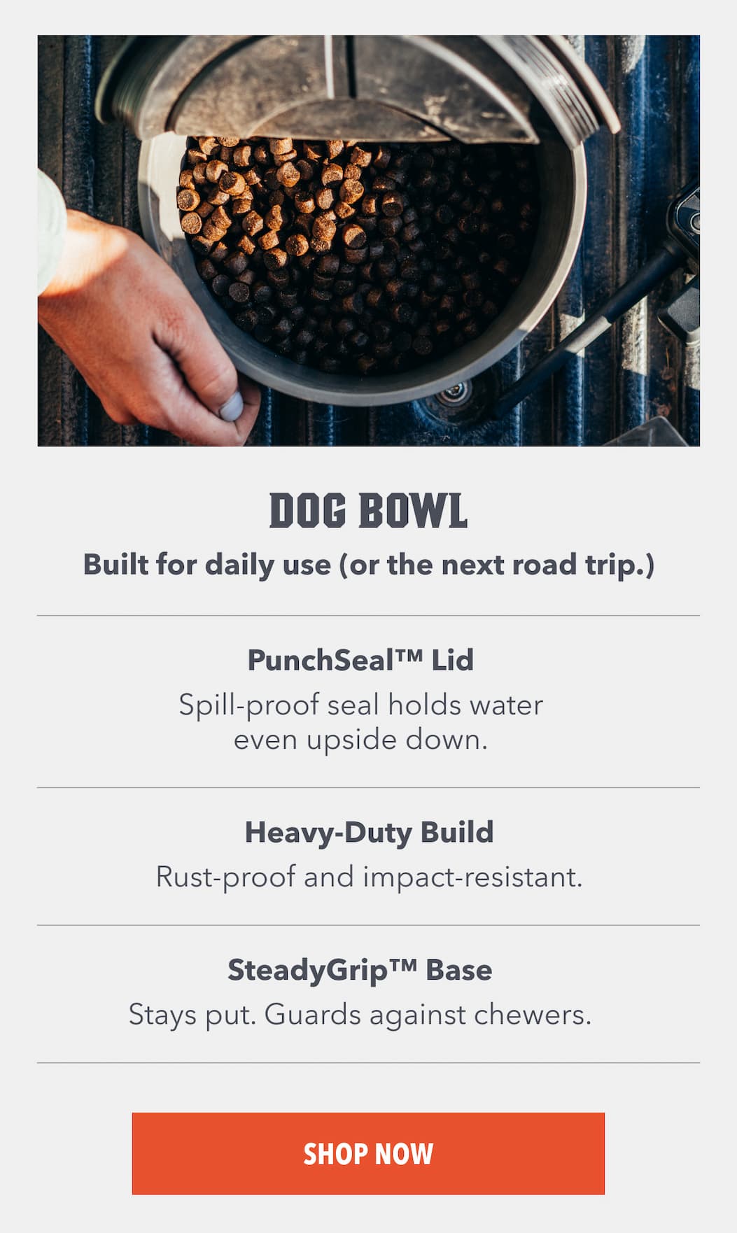 Dog Bowl