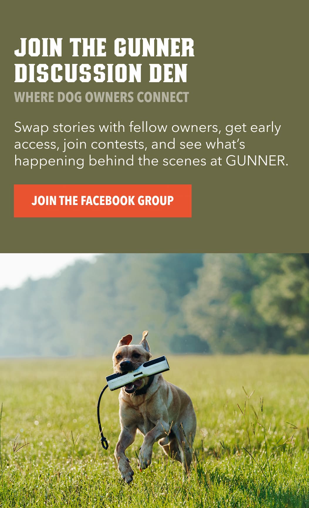 Join the Facebook Group