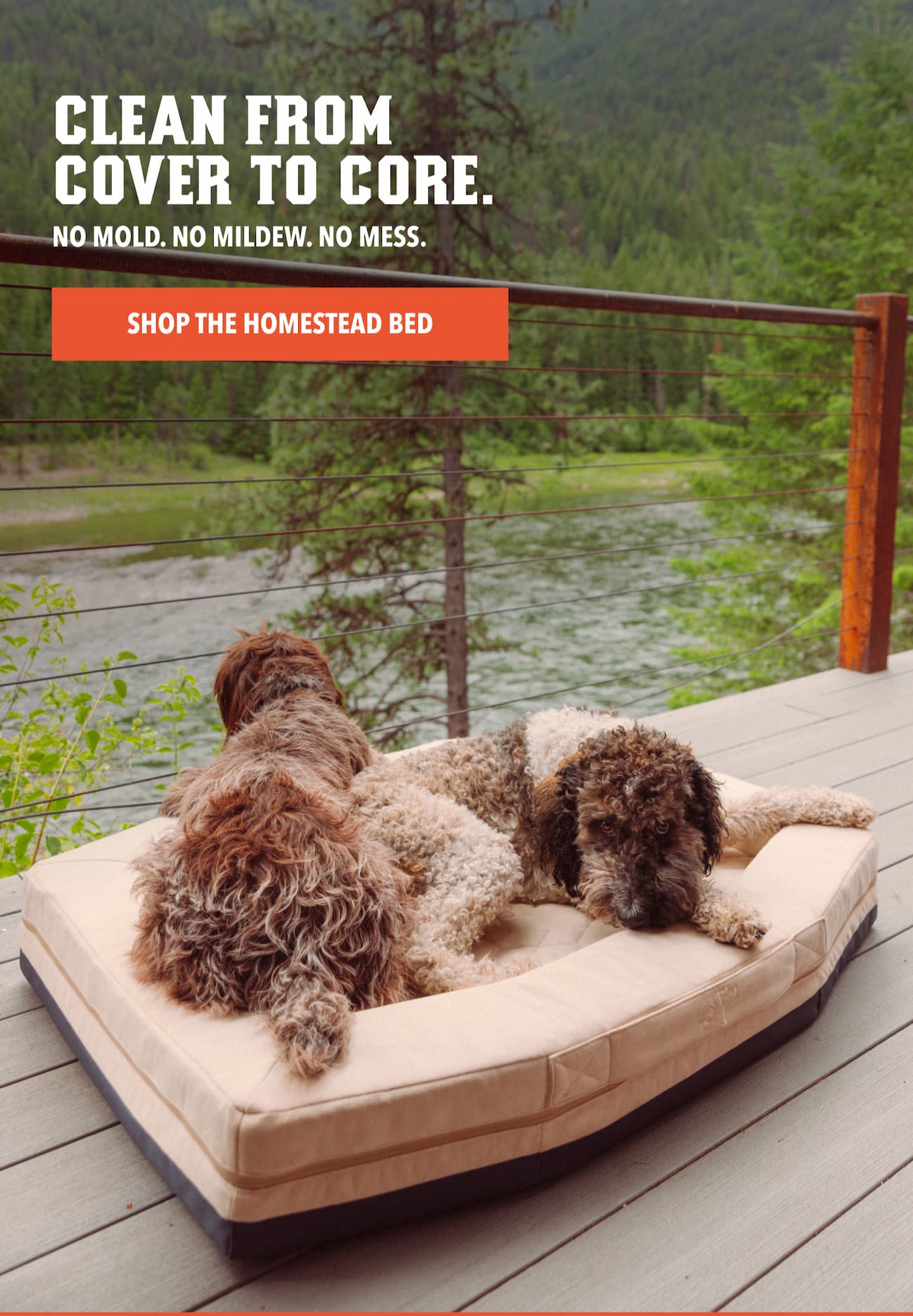 Clean From Cover To Core.