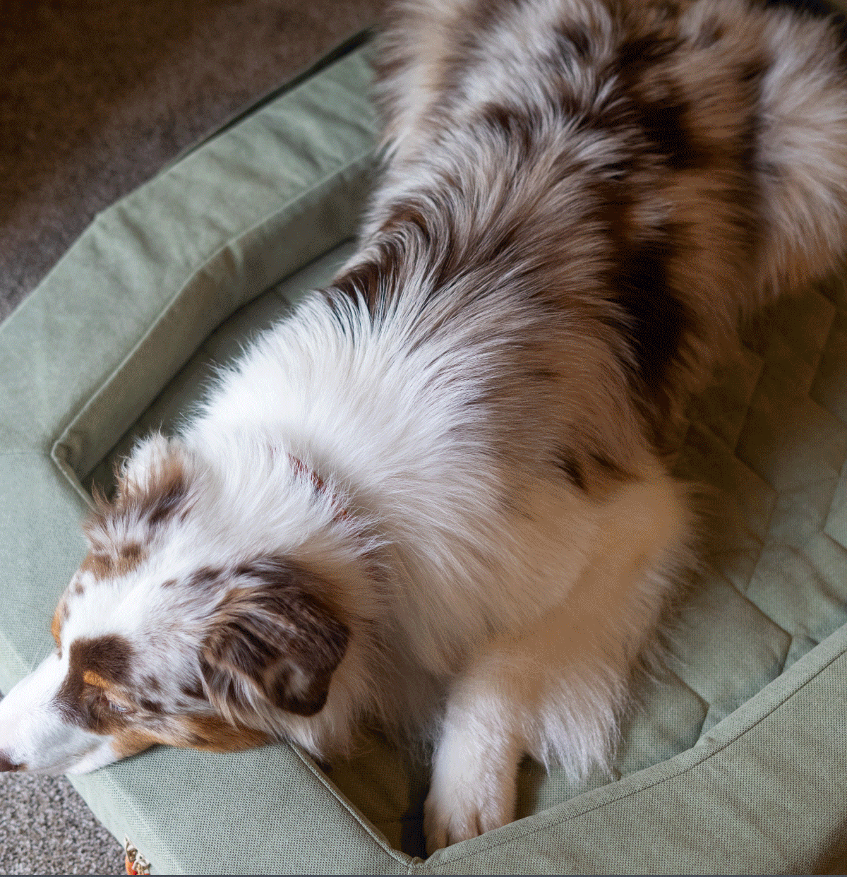 Shop the Homestead Bed