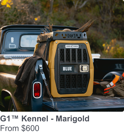 Shop the G1 in Marigold