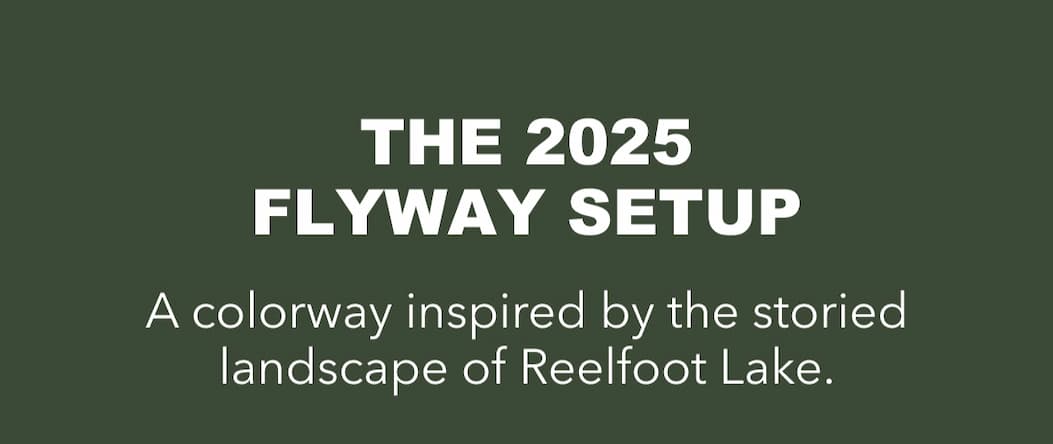 The 2025 Flyway Setup