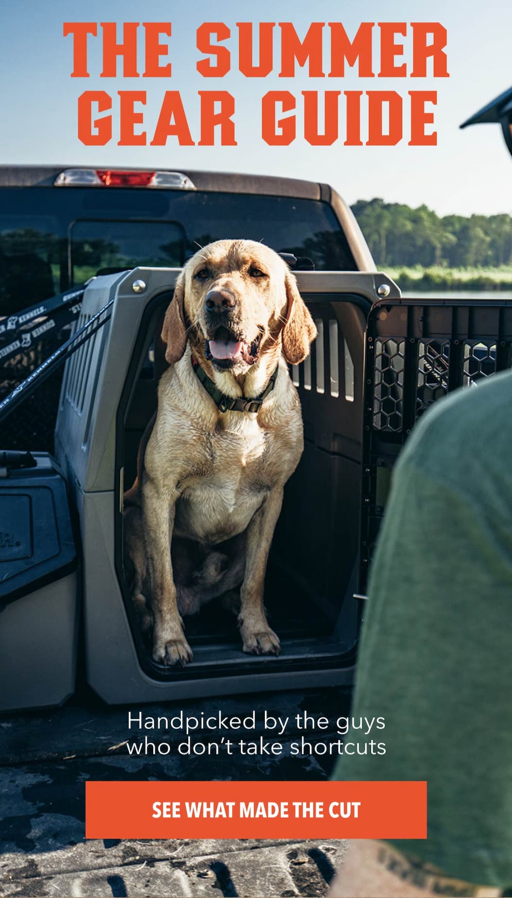 The Summer Gear Guide