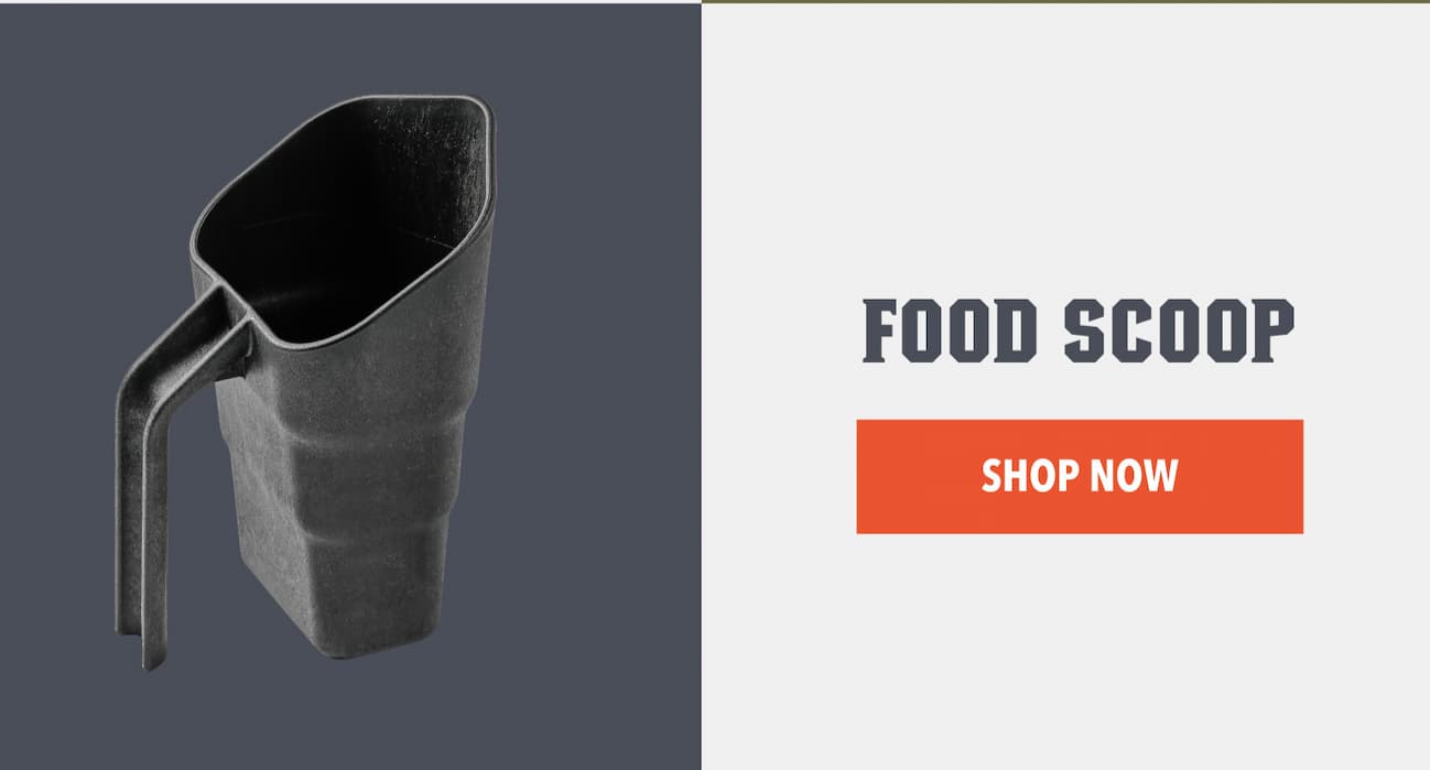 Food Scoop