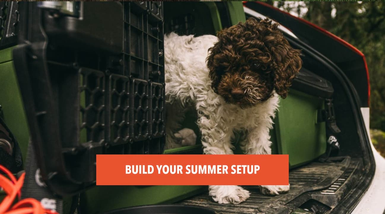 Build Your Summer Setup