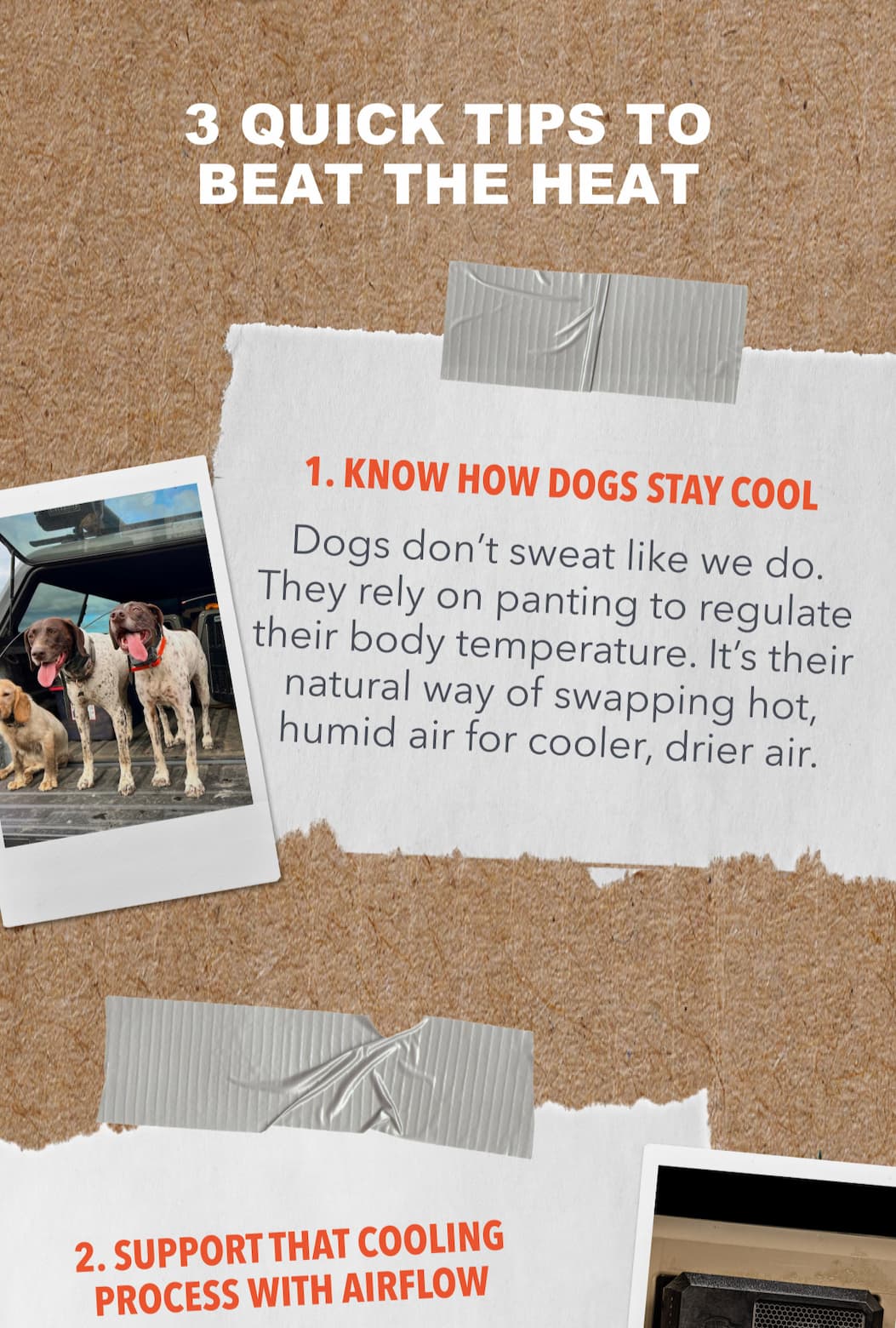 Tips to Beat the Heat