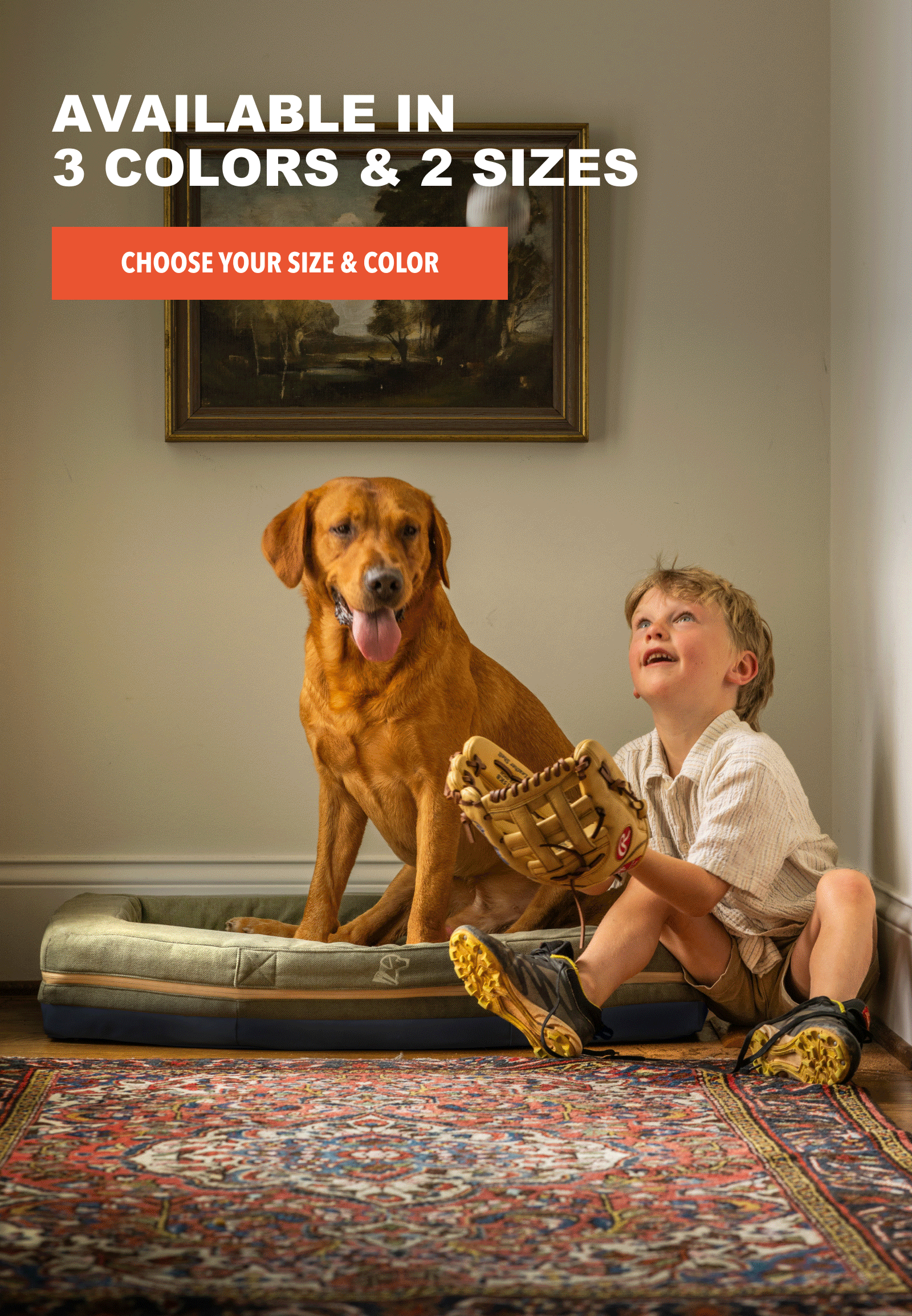 Available in 3 Colors & 2 Sizes