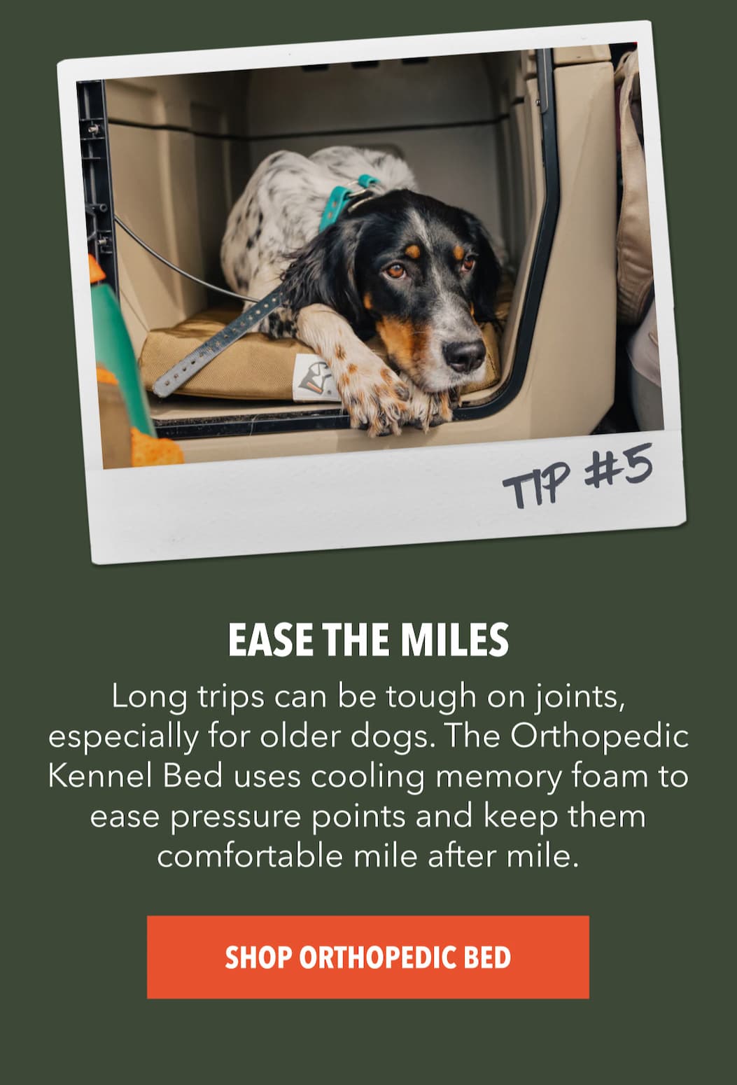 Discover the full collection