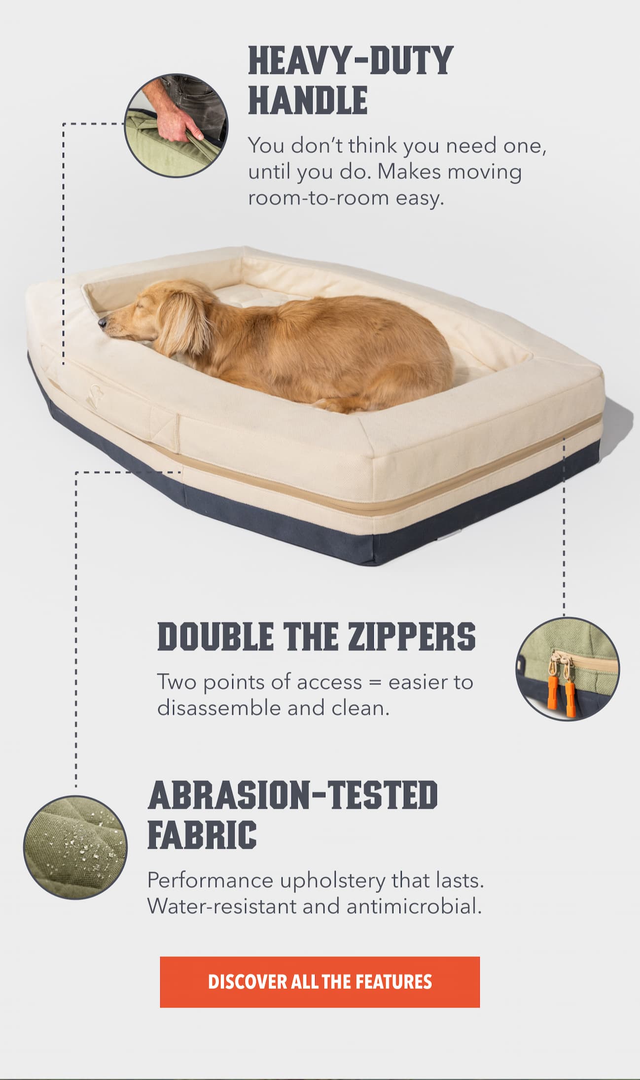 Discover All The Features