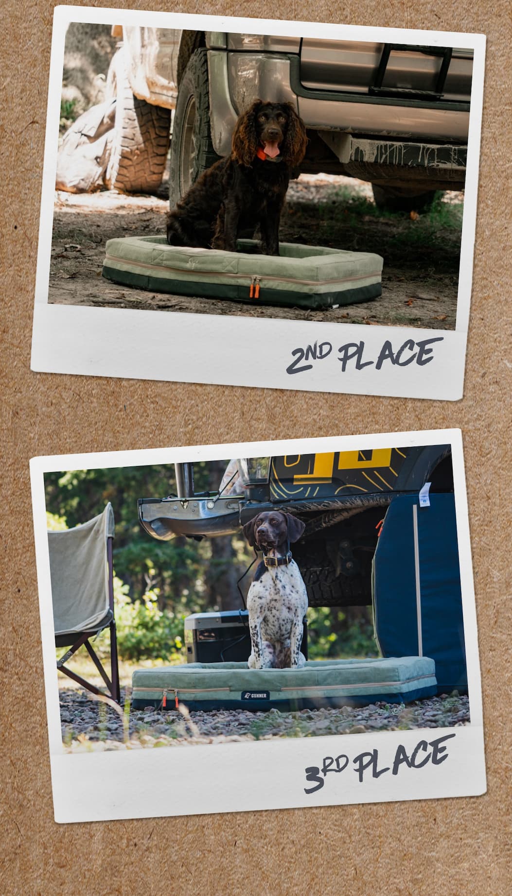 Shop the Homestead Bed