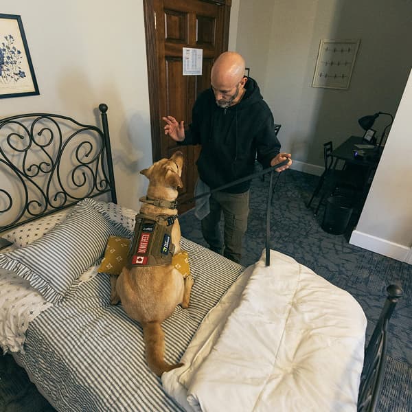 Learn more about Jordan K9