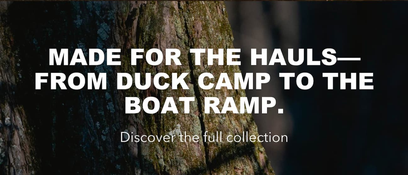 Discover the full collection