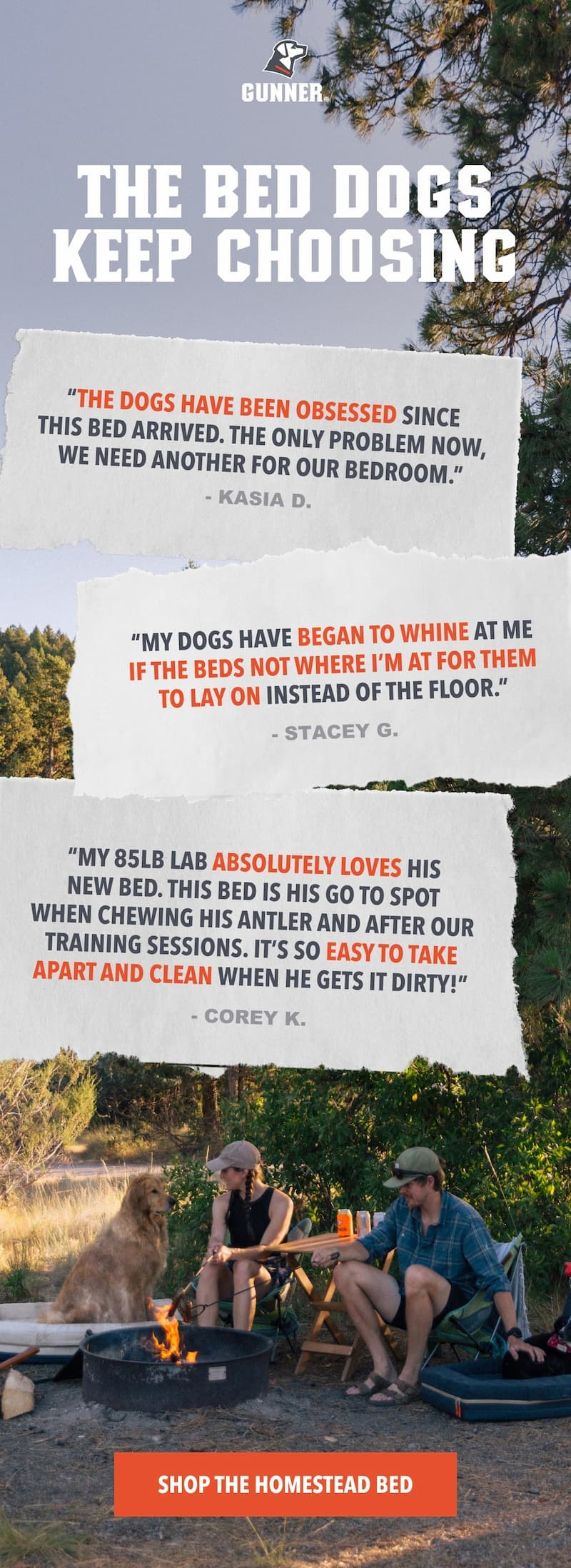 The Bed Dogs keep Choosing