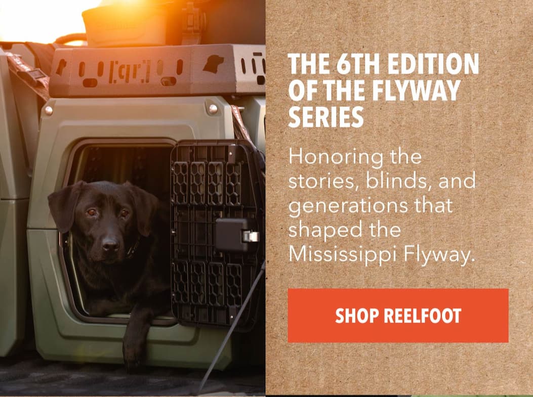 The 6th edition of the Flyway series