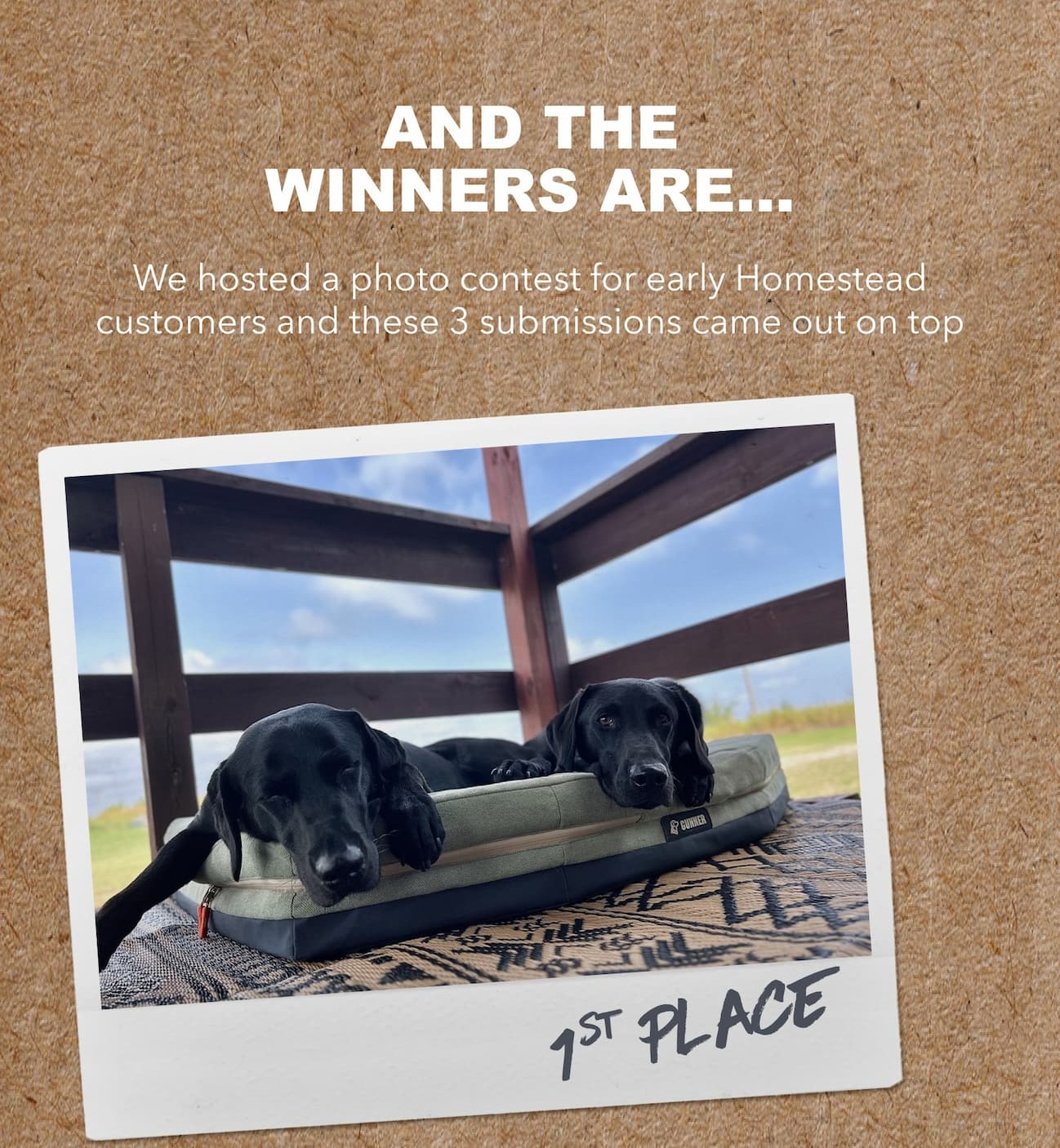 Shop the Homestead Bed