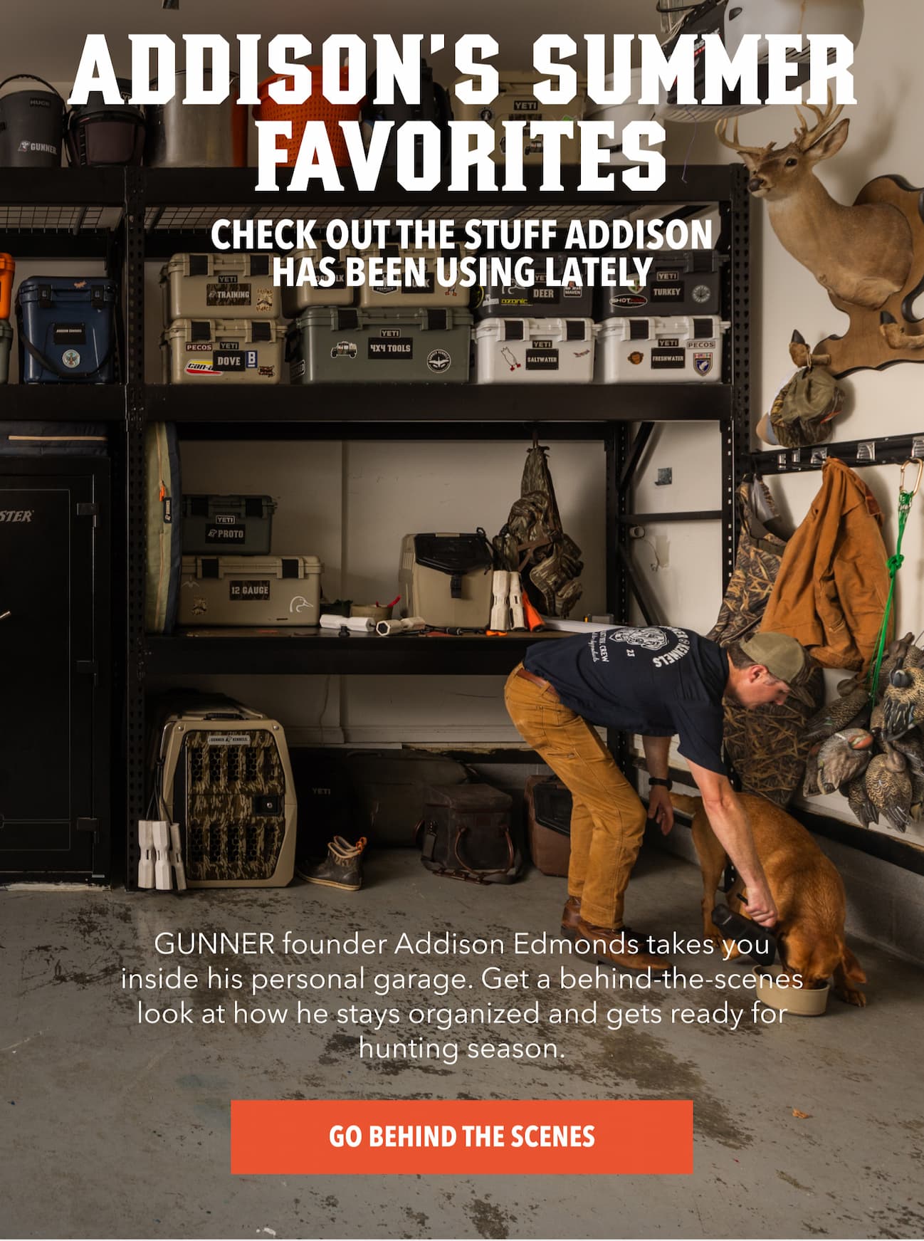 Addison's Summer Favorites