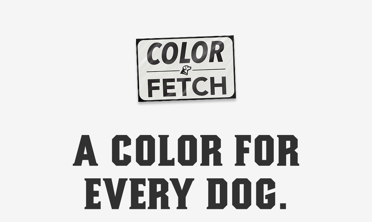 Limited-edition colors are HERE. 
