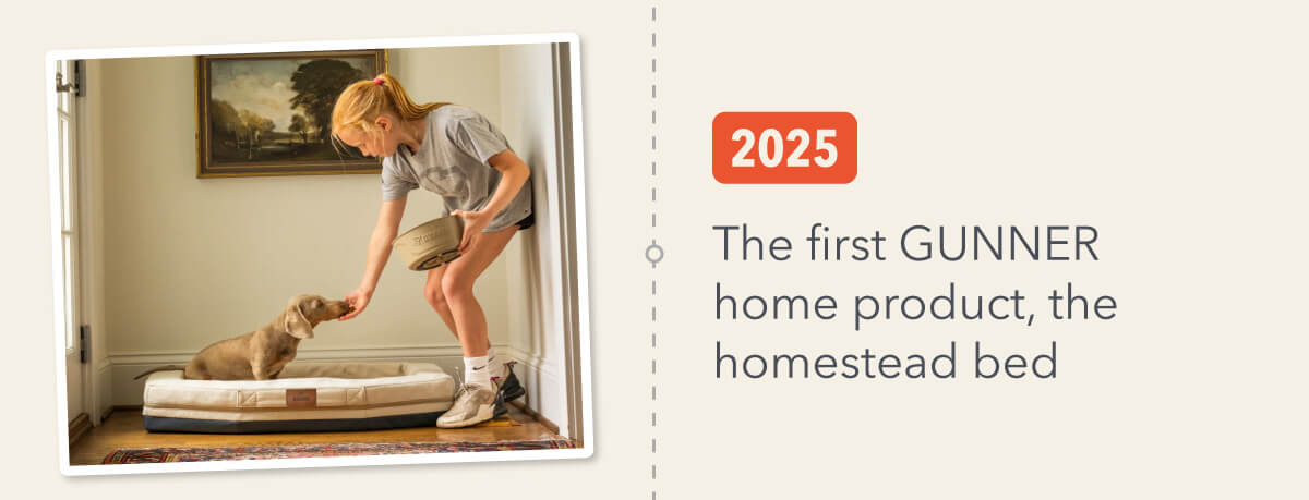 Celebrating a Decade Of Mansbestkennel