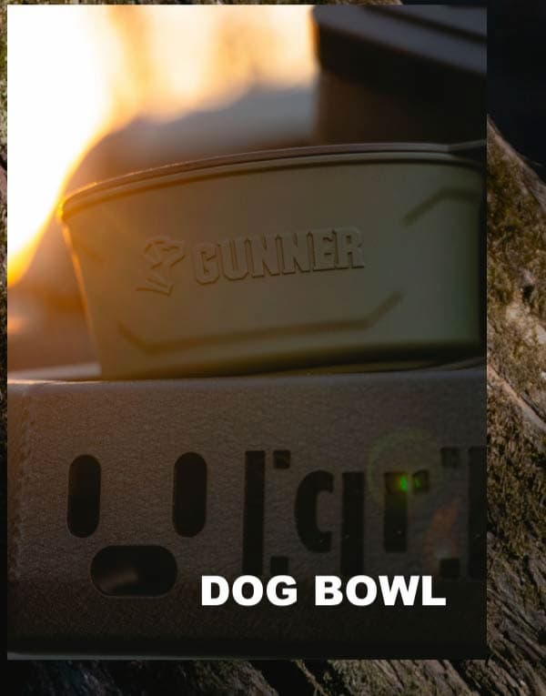 Dog Bowl