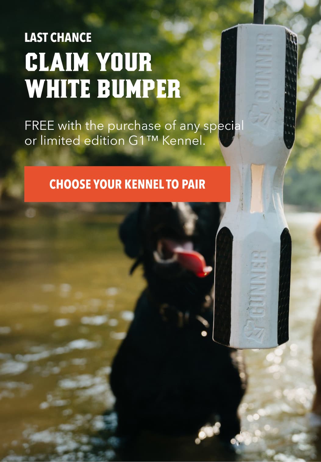 Last Chance: Claim Your White Bumper