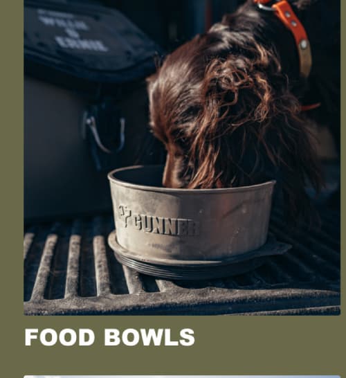 Food Bowls