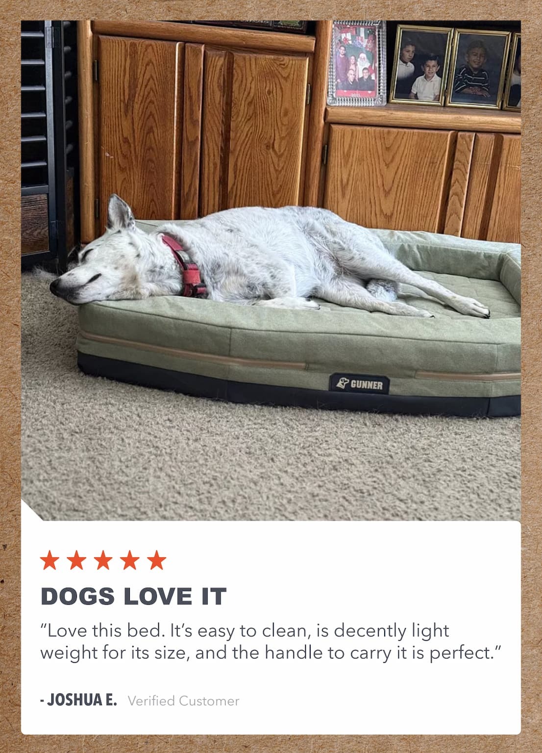Best Dog Bed Ever