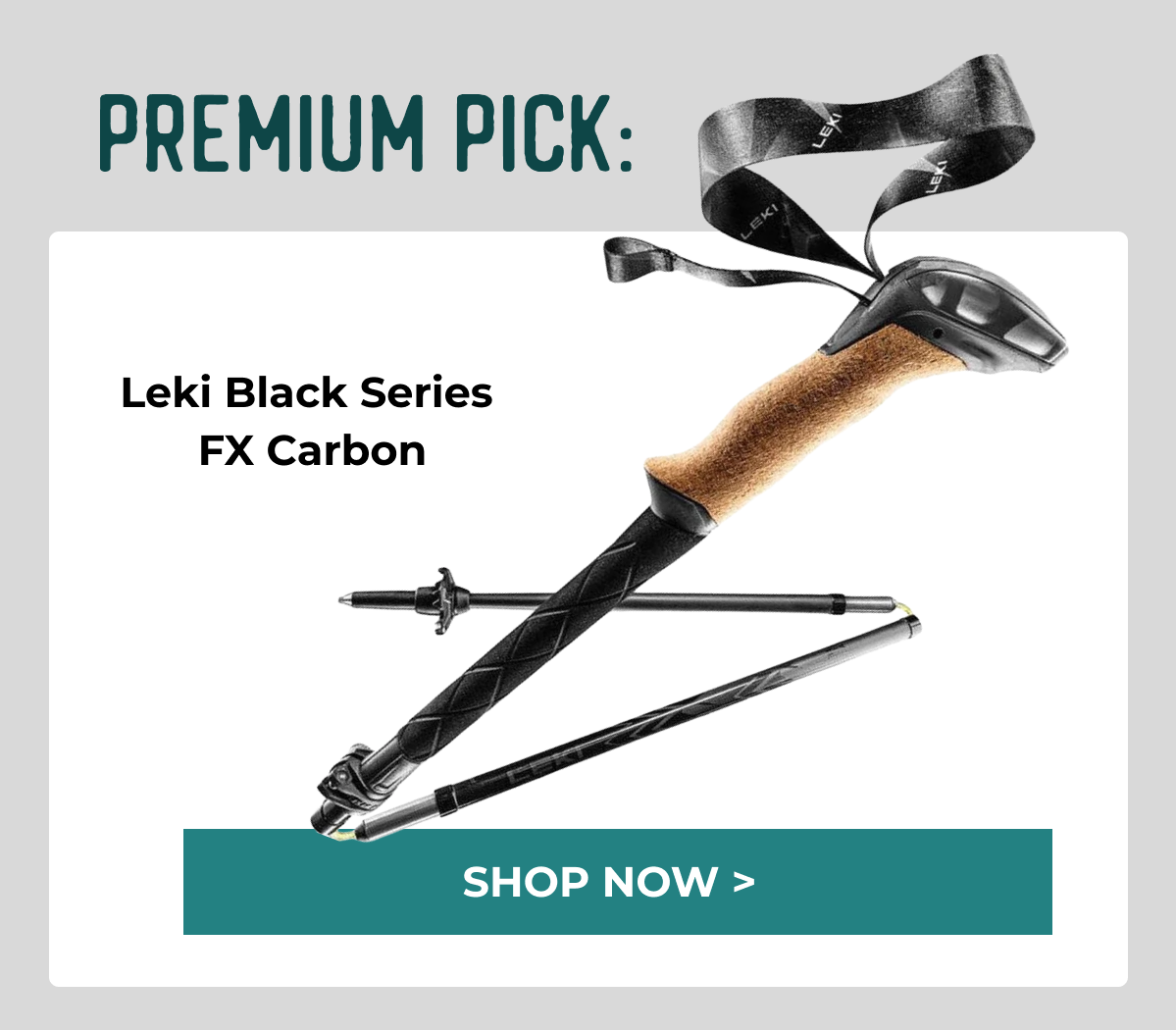 Premium Pick: Leki Black Series FX Carbon