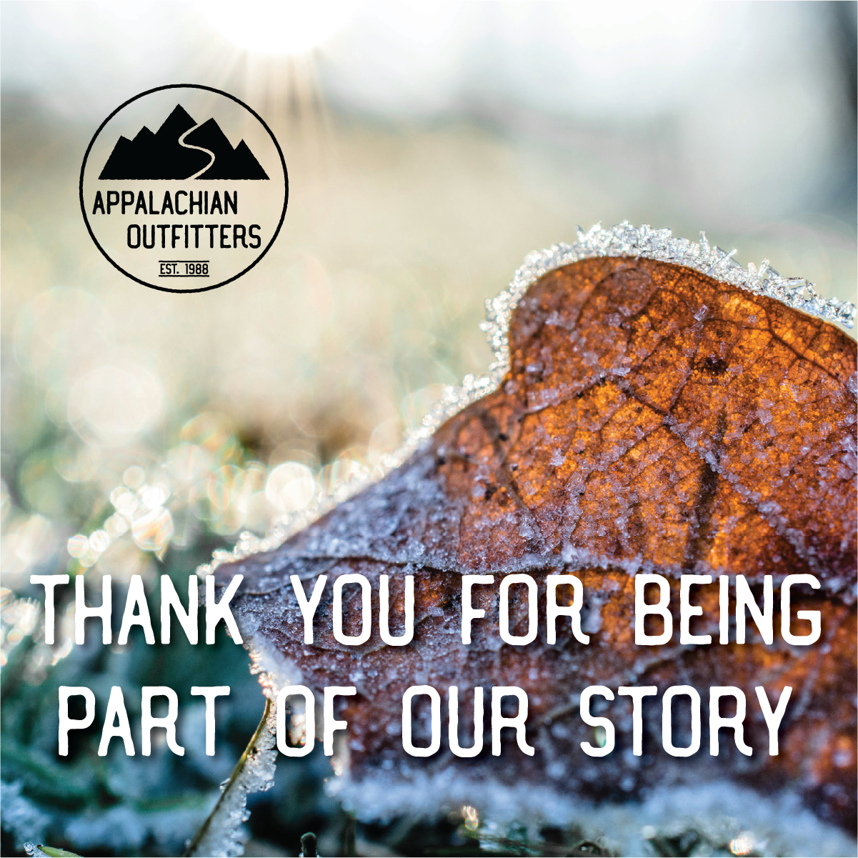 Thank you for being part of our story
