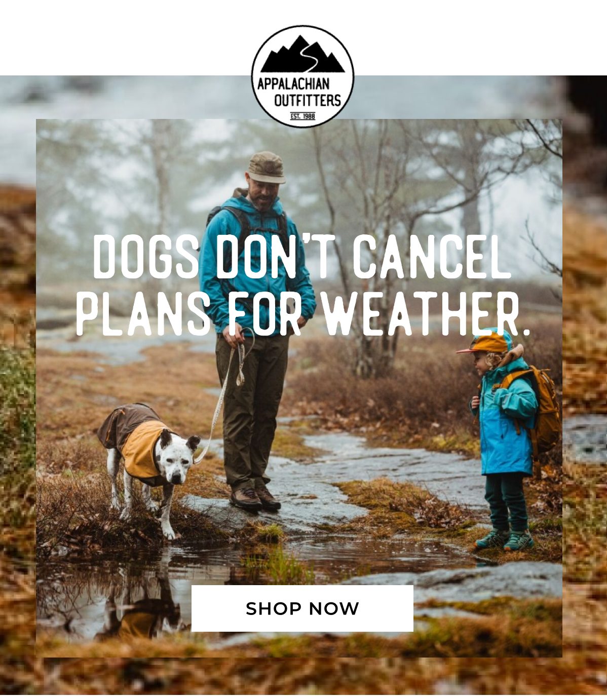 Dogs Don't Cancel Plans for Weather.