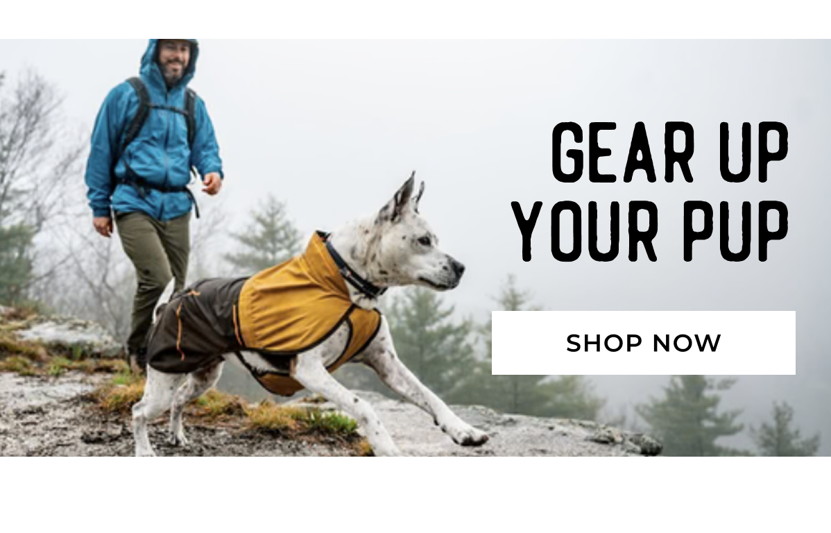 Gear Up Your Pup