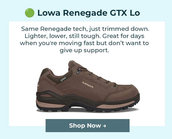 🟢 Lowa Renegade GTX Lo
