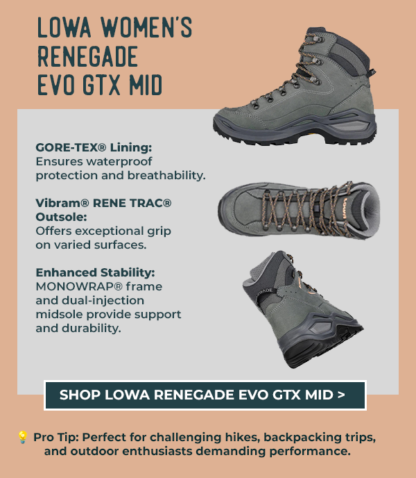 Lowa Women's Renegade EVO GTX Mid